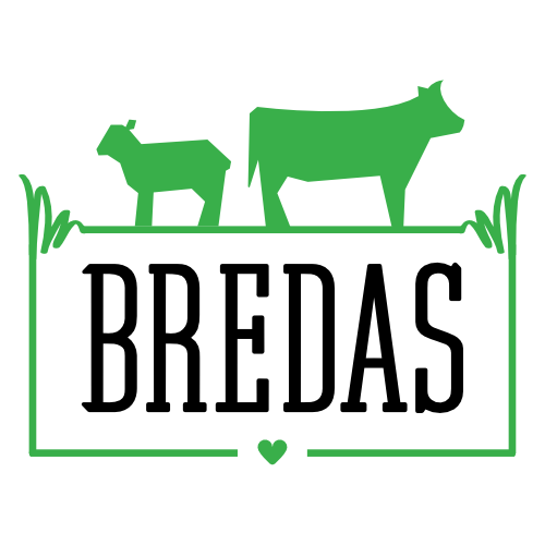 Bredas logo